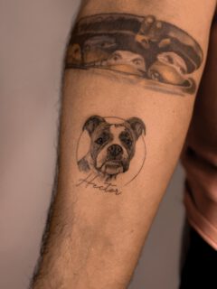 • D o g  P o r t r a i t •

artist | @amandamaranhaoo 

📩 appointments | hello@kitsonistudio.de

www.styng.com/kitsonistudio

BOOK YOUR APPOINTMENT
- via link in bio
______
#kitsonistudio #realism #tattoos #fineline #fineart #microrealism #kaiserslautern #realismtattoo #dogportrait #petportrait #smalltattooideas #fineart