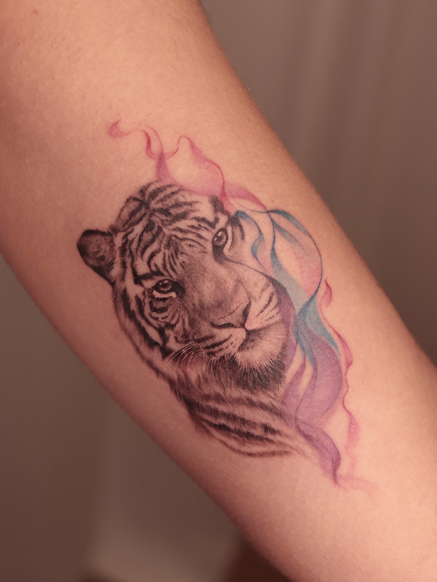 • G r a c e &  P o w e r •
// 1 5 - 2 0  DECEMBER //

artist | @jeffcolares 

BOOK VIA l www.styng.com/kitsonistudio
- link in bio or DM ‚𝘑𝘌𝘍𝘍‘

𝙌𝙪𝙚𝙨𝙩𝙞𝙤𝙣? 📧
hello@kitsonistudio.de
______
#kitsonistudio #tattoo #tigertattoo #tattooartist #tattooart #colortattoo #realistictattoo #finelinetattoo #inked #tattoooftheday #tattoolove #instatattoo #inkspiration #tattoogram #tattoostyle #art #tattooed #inklife #jeffcolares