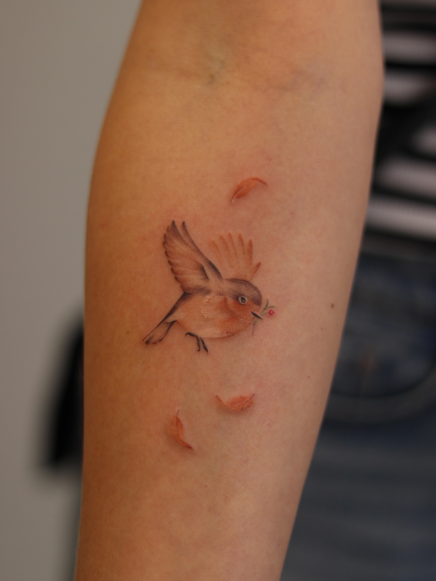 • F I N E L I N E  B I R D •
// 1 5 - 2 0 DECEMBER //

artist | @jeffcolares

BOOK VIA | www.styng.com/kitsonistudio
– link in bio or DM ‘JEFF’

𝙌𝙪𝙚𝙨𝙩𝙞𝙤𝙣? 📩
hello@kitsonistudio.de

______
#kitsonistudio #finelinetattoo #birdtattoo #delicatetattoo #femininetattoos #softtattoo #tinyink #finelinework #realistictattoo #naturetattoo #microtattoo #cutetattoo #tattoogermany #kaiserslautern #tattoolife #inkedgirls #tattoostyle #finelineartist #smalltattoo #tattooinspiration